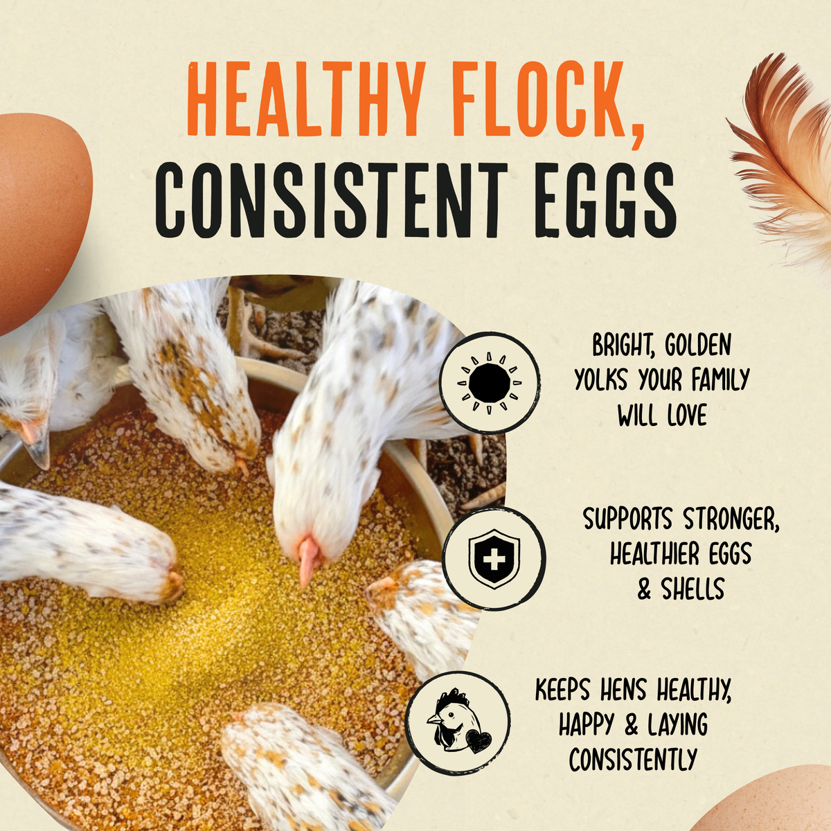 Gold Dust - Daily Egg Booster
